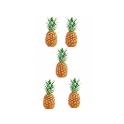 Piña 5 unidades (10-12 lb / 4.6-5.5 kg)