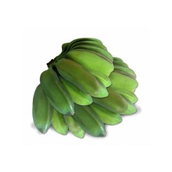 Plátano burro verde cinco manos (15-20 lb / 6.9-9.2 kg)