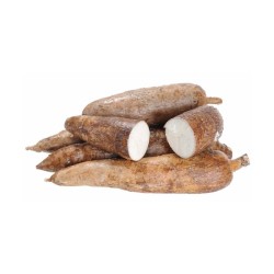 Yuca (10 lb / 4.6 kg)