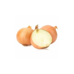Cebolla (2.0 lb / 0.9 kg)