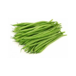 Habichuelas (4.0 lb / 1.8 kg)