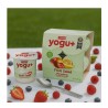 Yogurt sabor macedonia Yogu+ Feiraco (4 x 125 g / 4.41 oz)