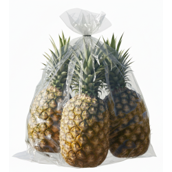 Piña 5 unidades (10-12 lb / 4.6-5.5 kg)