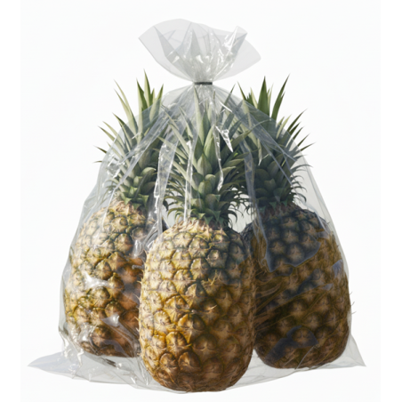 Piña 5 unidades (10-12 lb / 4.6-5.5 kg)