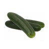 Pepino (10.0lb / 4.6 kg)