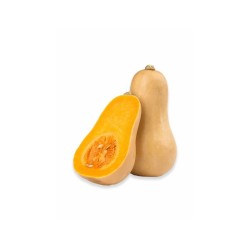 Calabaza (10.0 lb / 4.6 kg)