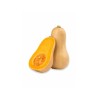 Calabaza (10.0 lb / 4.6 kg)