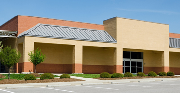 Productores locales cosechando y preparando alimentos frescos